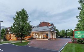 Homewood Suites by Hilton Albany